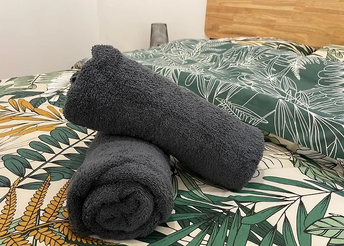 Appartement ღ Le Saintois • Au Coeur De Ville, Spacieux & Wifi Saintes